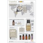 doTERRA Copaiba Esszenciális Olaj 15 ml