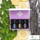 doTERRA Intro Kit-Bevezető készlet 3x 5 ml