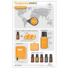 doTERRA Tangerine- Mandarin Esszenciális Olaj 15 ml