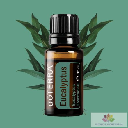 doTERRA Eucalyptus - Eukaliptusz Esszenciális Olaj 15 ml