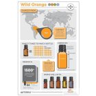 doTERRA Wild Orange- Vadnarancs Esszenciális Olaj 15 ml