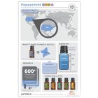 doTERRA Peppermint- Borsmenta Esszenciális Olaj 15 ml