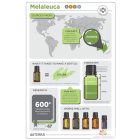 doTERRA Tea Tree- Teafa Esszenciális Olaj 15 ml
