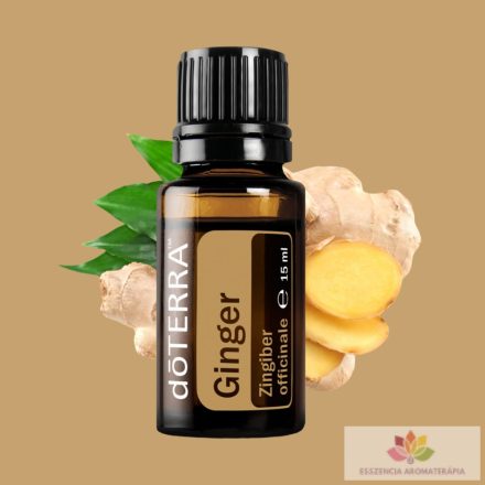 doTERRA Ginger- Gyömbér Esszenciális Olaj 15ml