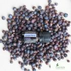 doTERRA Juniper Berry- Borókabogyó Esszenciális Olaj 5 ml
