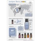 doTERRA Juniper Berry- Borókabogyó Esszenciális Olaj 5 ml