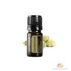 doTERRA Cardamom- Kardamom Esszenciális Olaj 5 ml