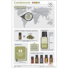 doTERRA Cardamom- Kardamom Esszenciális Olaj 5 ml