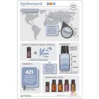 doTERRA Spikenard- Nárdus Esszenciális Olaj 5 ml