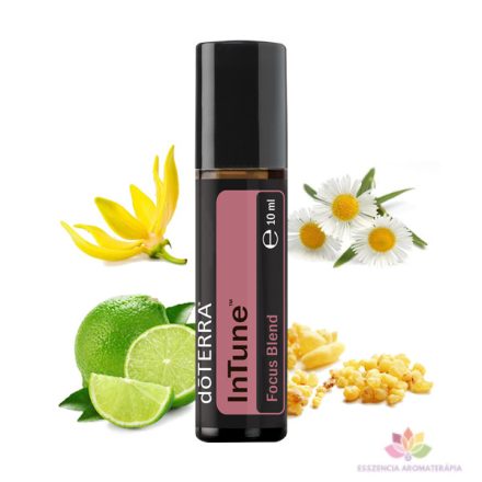 doTERRA InTune™ Roll On- Figyelmet segítő keverék 10 ml