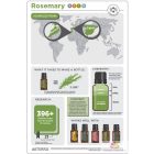 doTERRA Rozmaring
