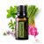 doTERRA TerraShield® Rovarriasztó Esszenciális Olajkeverék 15 ml