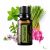 doTERRA TerraShield® Rovarriasztó Esszenciális Olajkeverék 15 ml