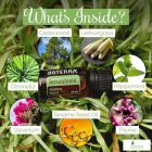 doTERRA TerraShield® Rovarriasztó Esszenciális Olajkeverék 15 ml