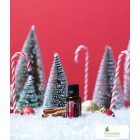 doTERRA Holiday Joy Ünnepi Esszenciális Olaj Keverék 15 ml
