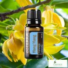 doTERRA Ylang Ylang-Ilang Ilang Esszenciális Olaj 15 ml