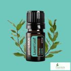 doTERRA Laurel Leaf- Babérlevél Esszenciális Olaj 5 ml