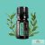 doTERRA Laurel Leaf- Babérlevél Esszenciális Olaj 5 ml