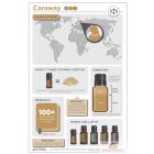 doTERRA Caraway- Kömény Esszenciális Olaj 5 ml