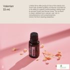 doTERRA Valerian- Orvosi Macskagyökér Esszenciális Olaj 15 ml