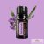 doTERRA Tulsi (Szent Bazsalikom) Esszenciális Olaj 15 ml