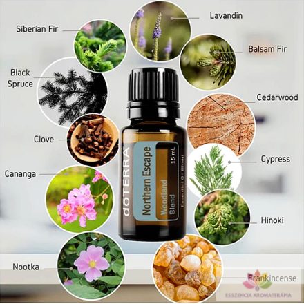 doTERRA Northern Escape Erdei Esszenciális Olajkeverék 15 ml