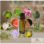 doTERRA Shinrin-Yoku Esszenciális Olaj Keverék 15 ml