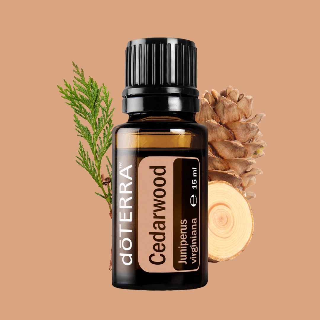 doterra cédrus