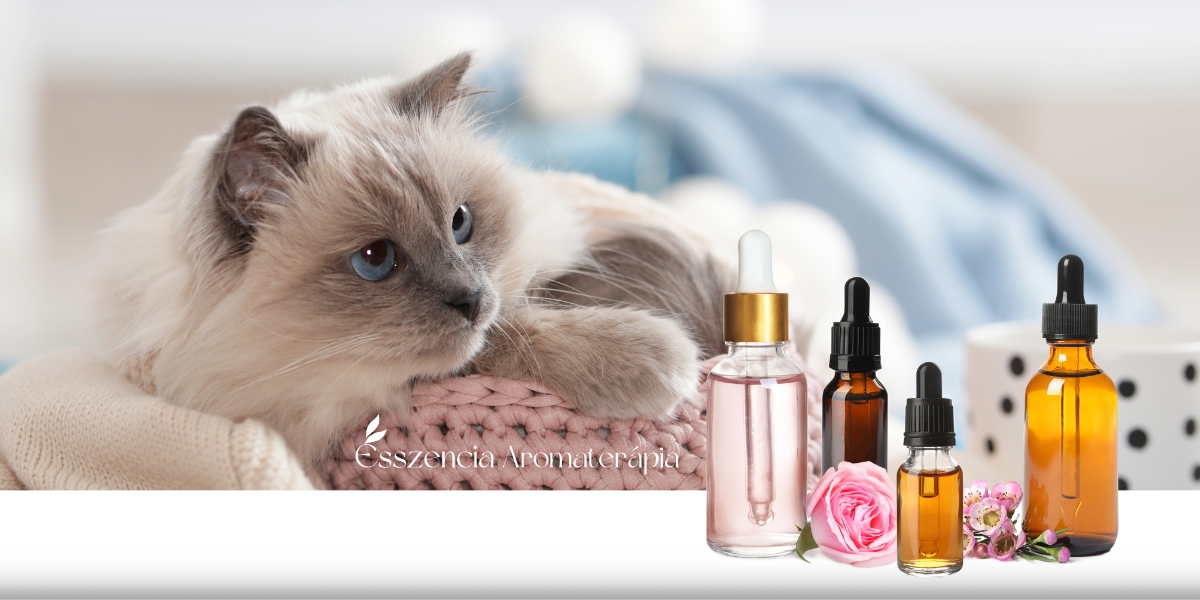 Aromaterápia cicáknak