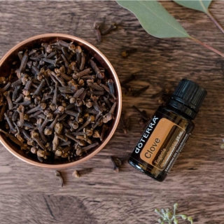 ️Szegfűszeg esszenciális olaj-minden fontos tudnivaló!