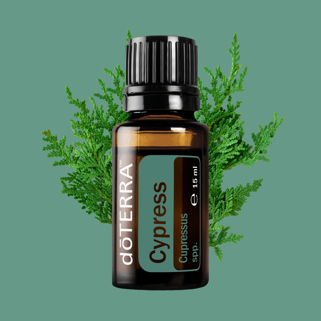 doterra ciprusolaj