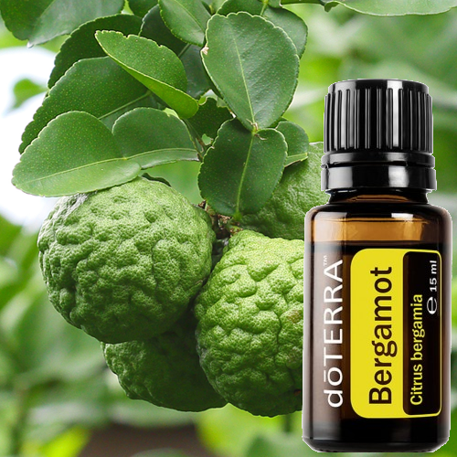 doterra bergamot